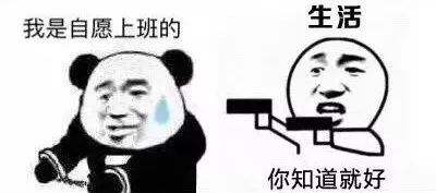 有人总说 "上班如上坟",而开在西安的地铁,不是上坟,胜似上坟.